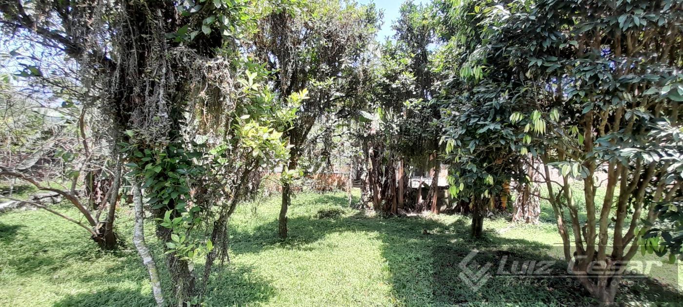Casa, 2 quartos, 80 m² - Foto 19