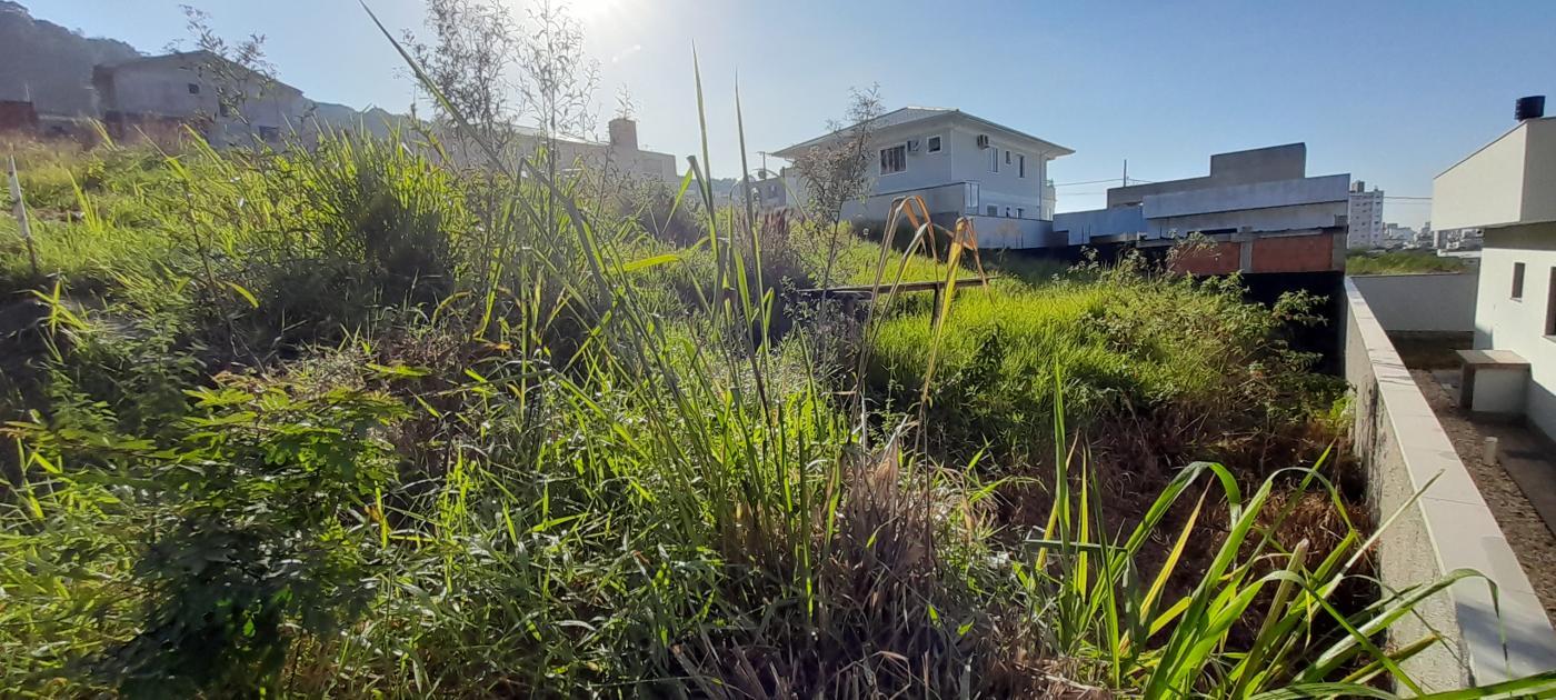 Terreno, 300 m² - Foto 6