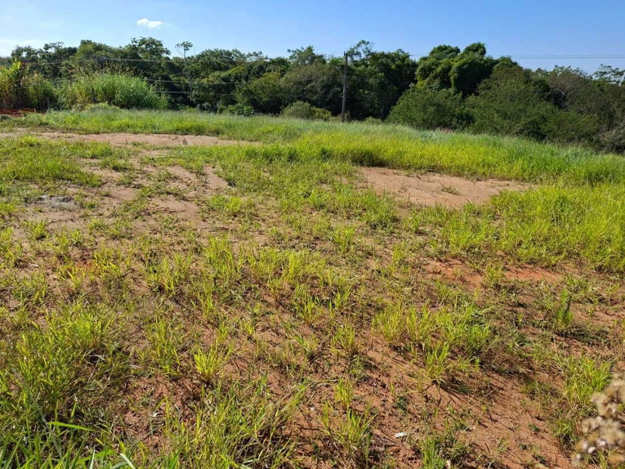 Terreno, 1187 m² - Foto 9
