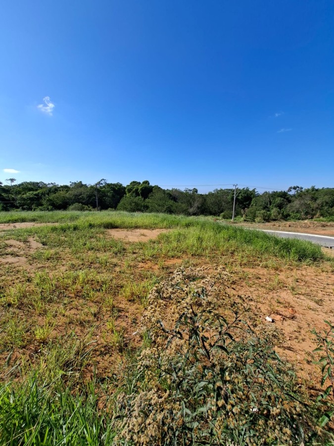 Terreno, 1187 m² - Foto 15