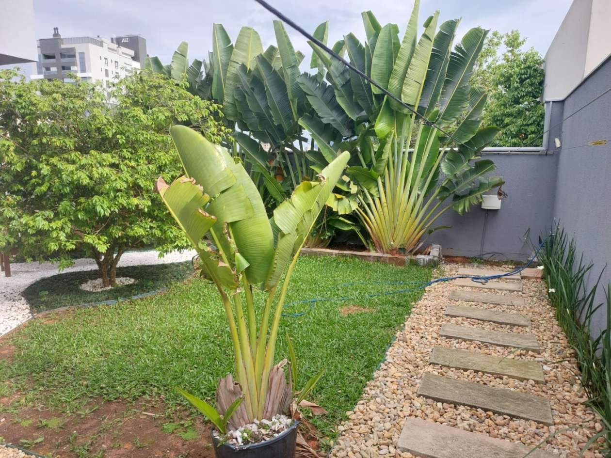 Casa, 4 quartos, 480 m² - Foto 25