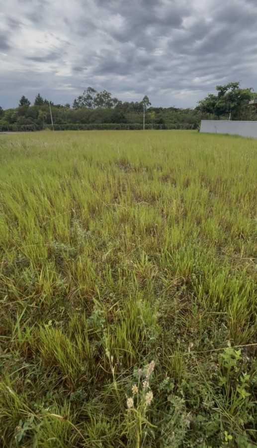 Terreno, 480 m² - Foto 4