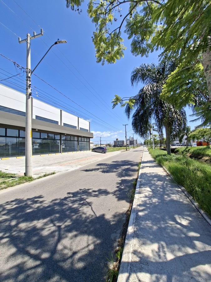Depósito-Galpão, 600 m² - Foto 4