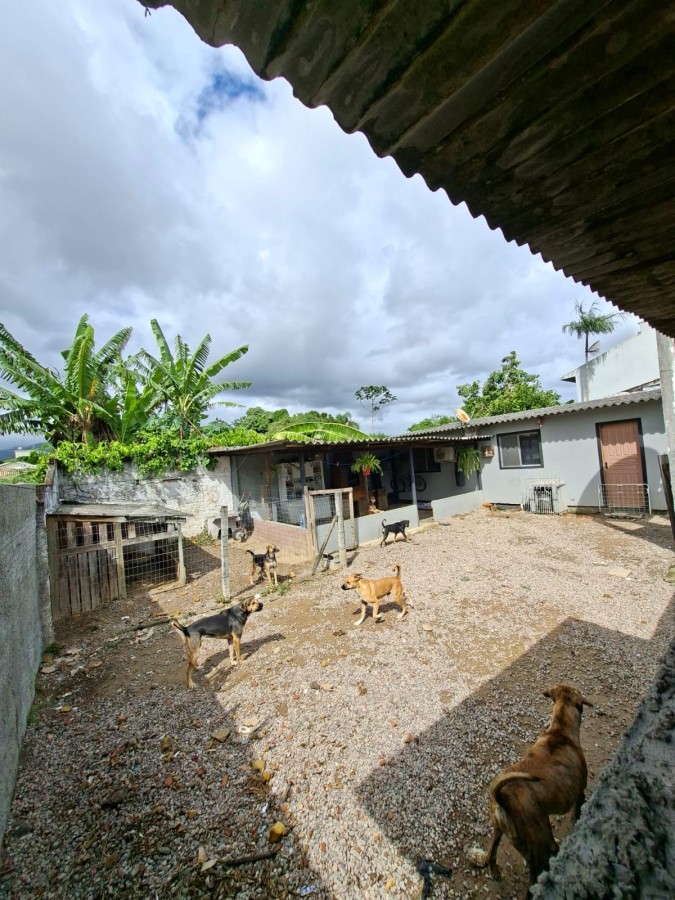 Casa, 2 quartos, 630 m² - Foto 19