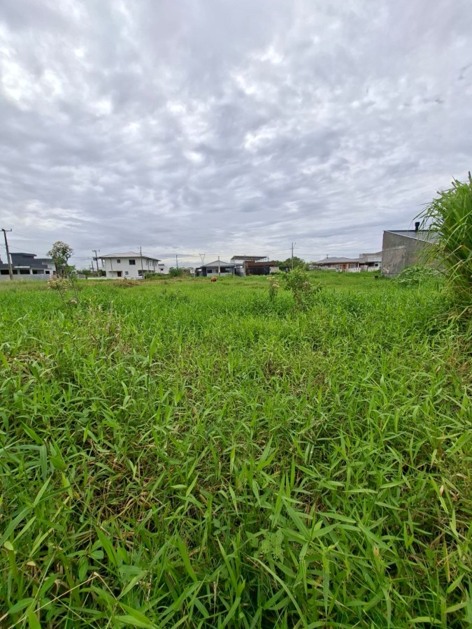 Terreno, 300 m² - Foto 4