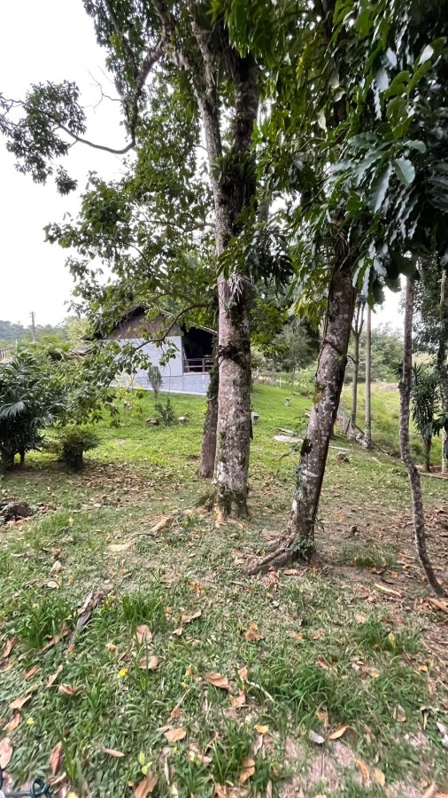 Fazenda, 105 m² - Foto 5