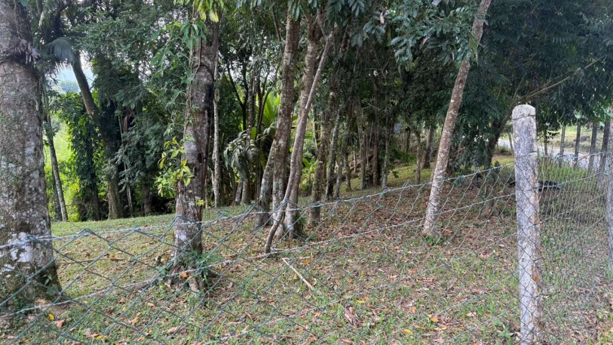 Fazenda, 105 m² - Foto 7