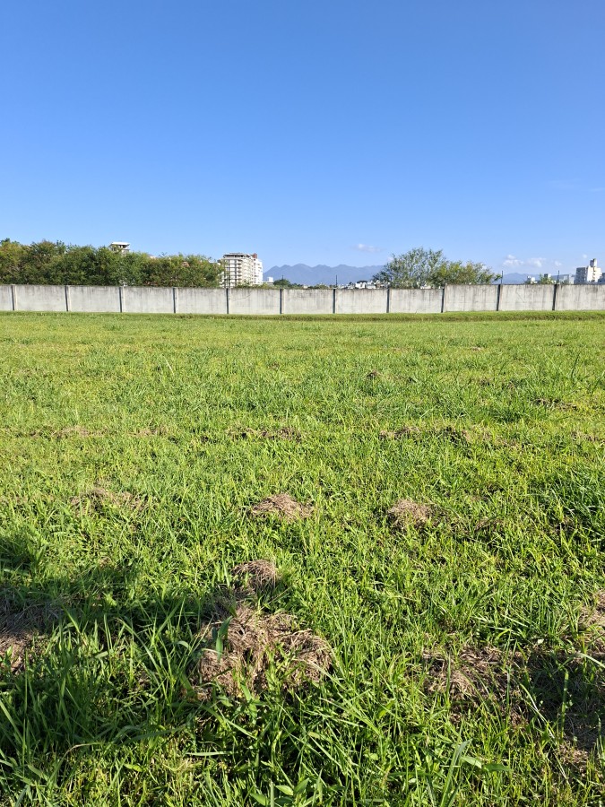 Terreno, 312 m² - Foto 20