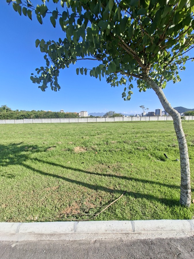 Terreno, 312 m² - Foto 22