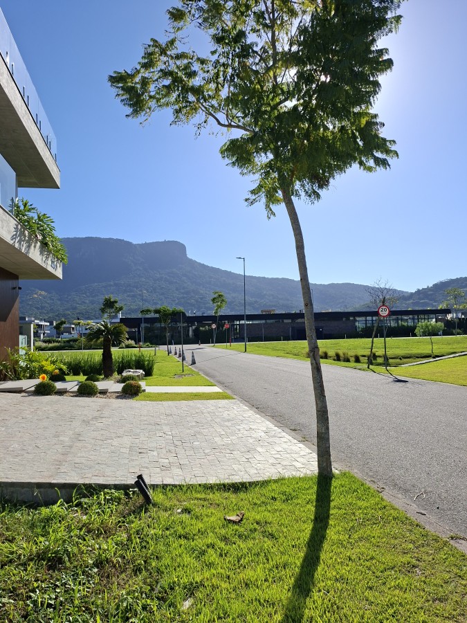 Terreno, 300 m² - Foto 3