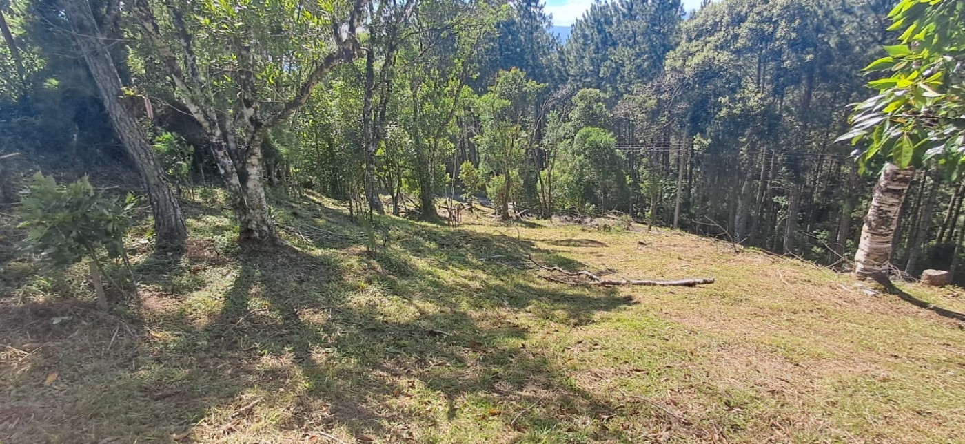Terreno, 813 m² - Foto 1