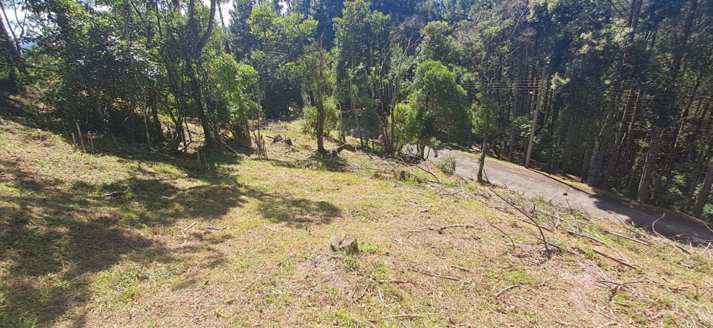 Terreno, 813 m² - Foto 7