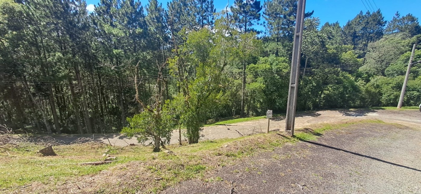 Terreno, 813 m² - Foto 6