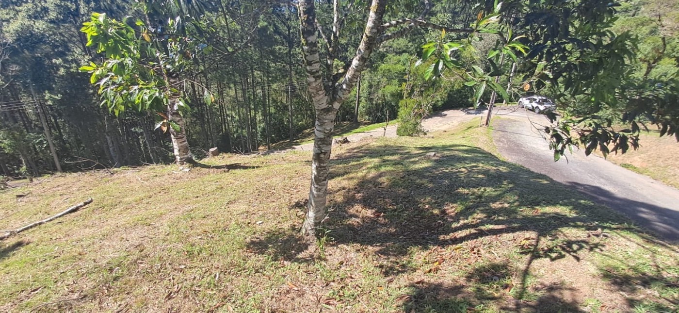 Terreno, 813 m² - Foto 10