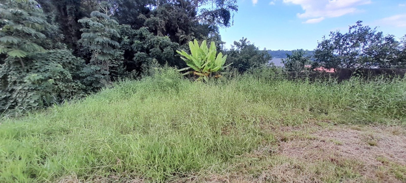 Terreno, 300 m² - Foto 6