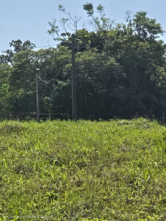 Terreno, 250 m² - Foto 5