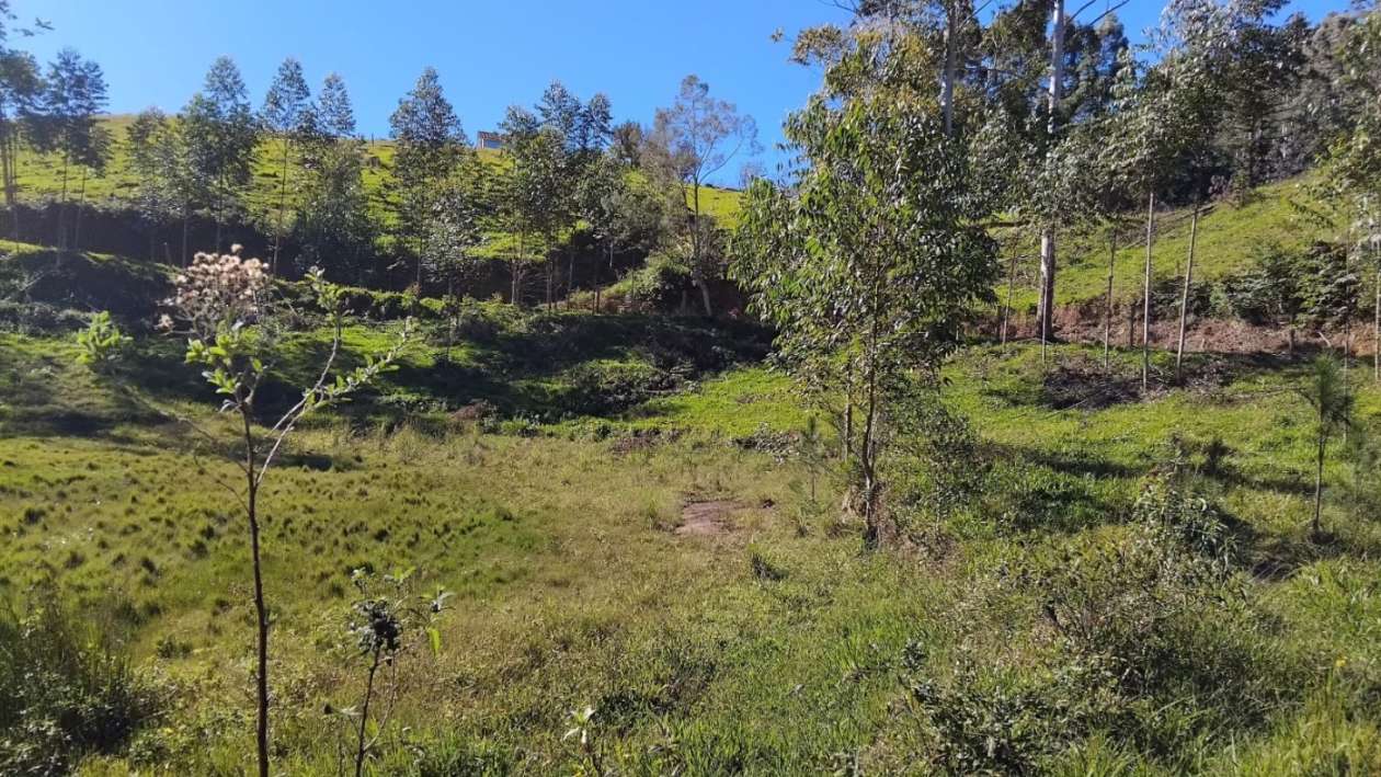 Fazenda, 3 m² - Foto 4