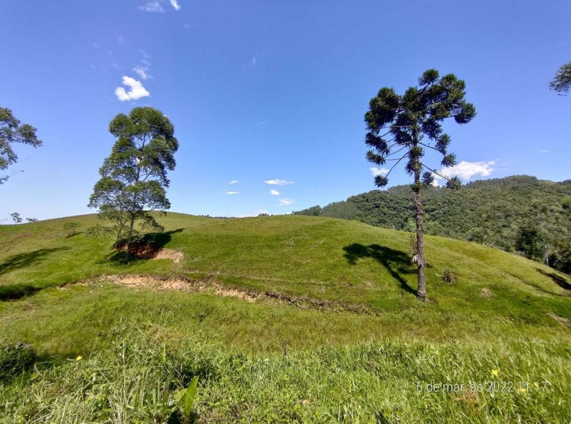 Fazenda, 3 m² - Foto 3