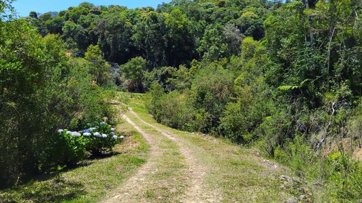 Fazenda, 2 m² - Foto 7