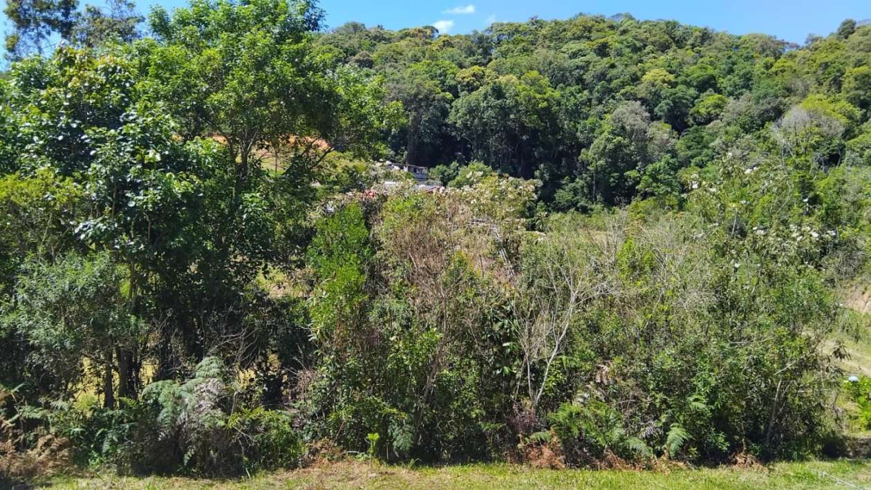 Fazenda, 2 m² - Foto 12