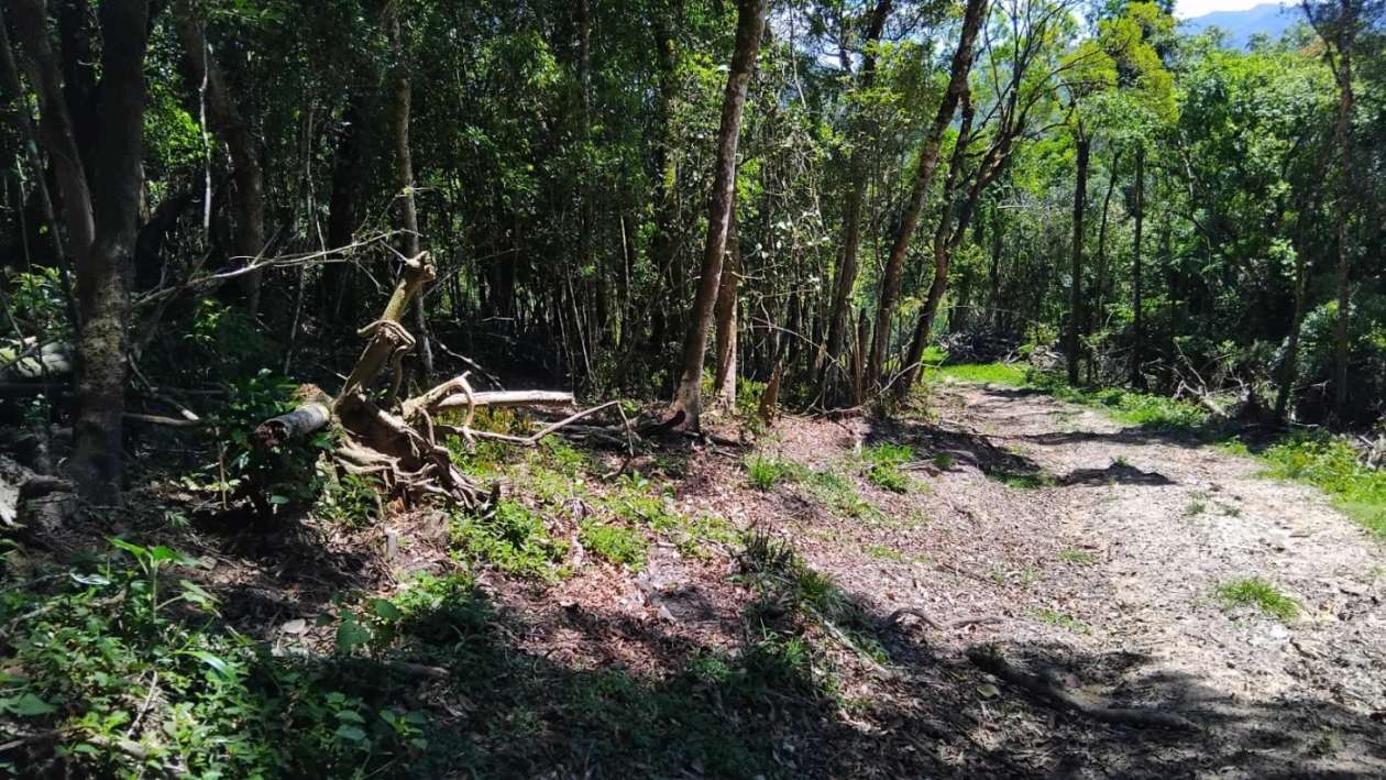 Fazenda, 2 m² - Foto 11
