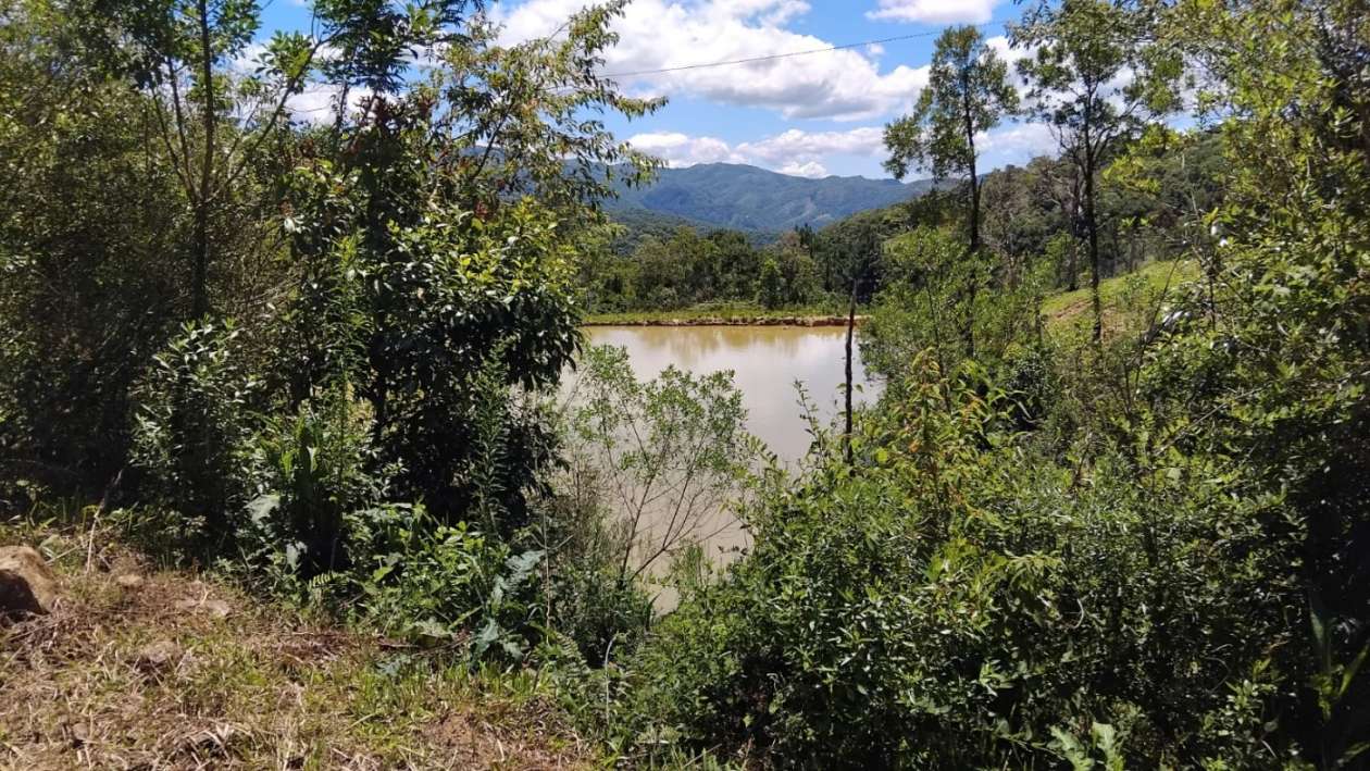 Fazenda, 2 m² - Foto 6