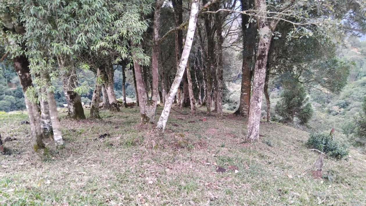 Fazenda, 7 m² - Foto 9