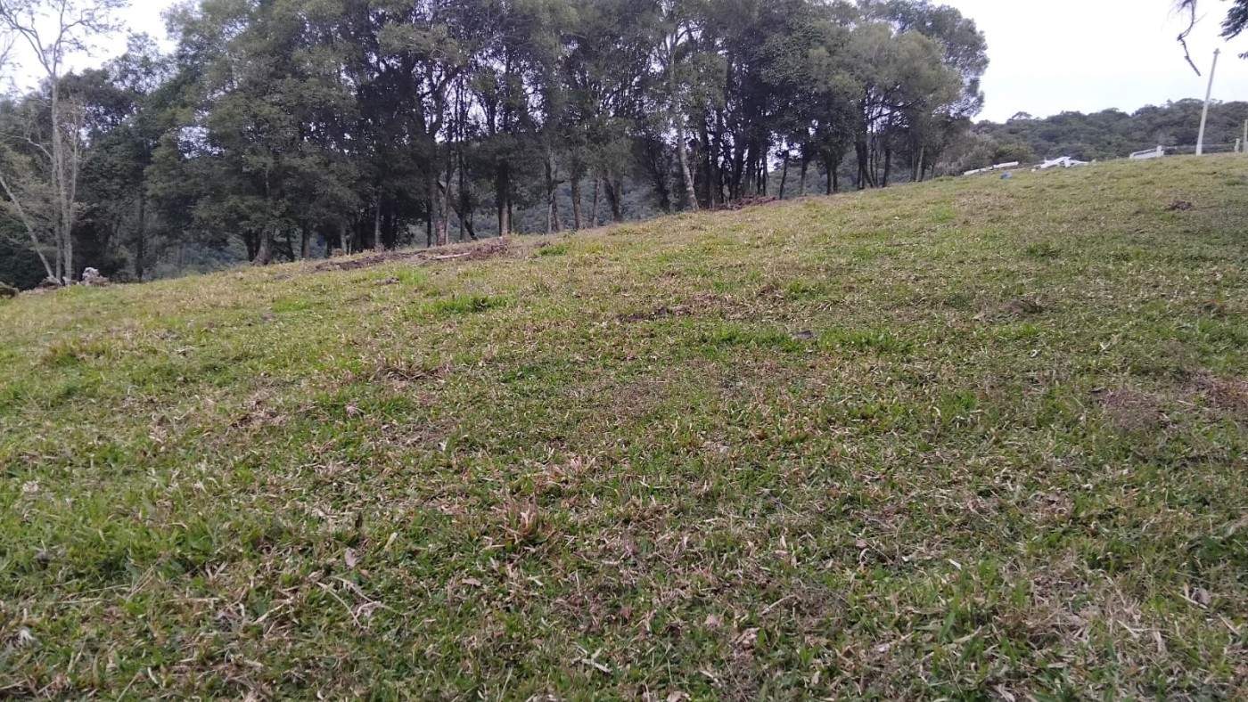 Fazenda, 7 m² - Foto 6