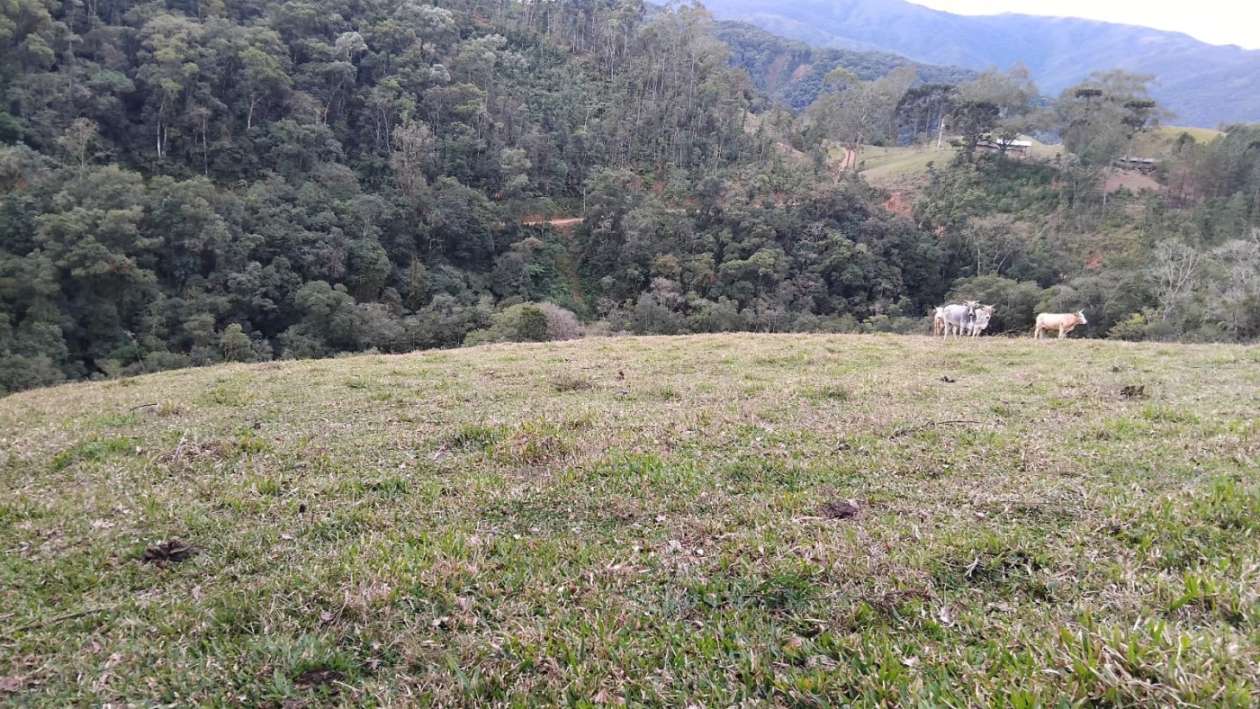 Fazenda, 7 m² - Foto 4