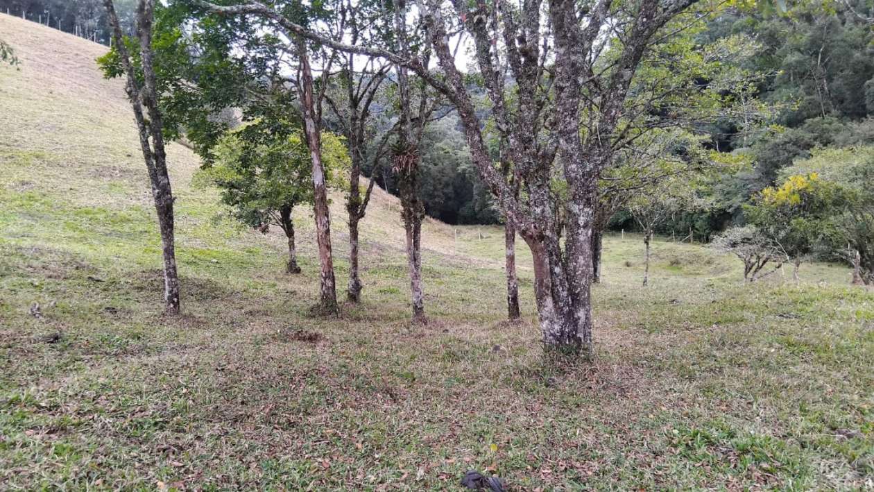 Fazenda, 7 m² - Foto 10