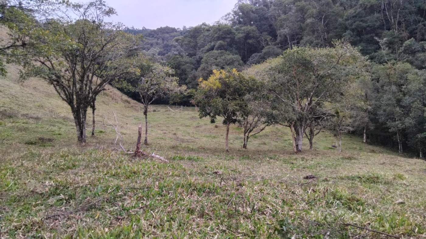 Fazenda, 7 m² - Foto 11