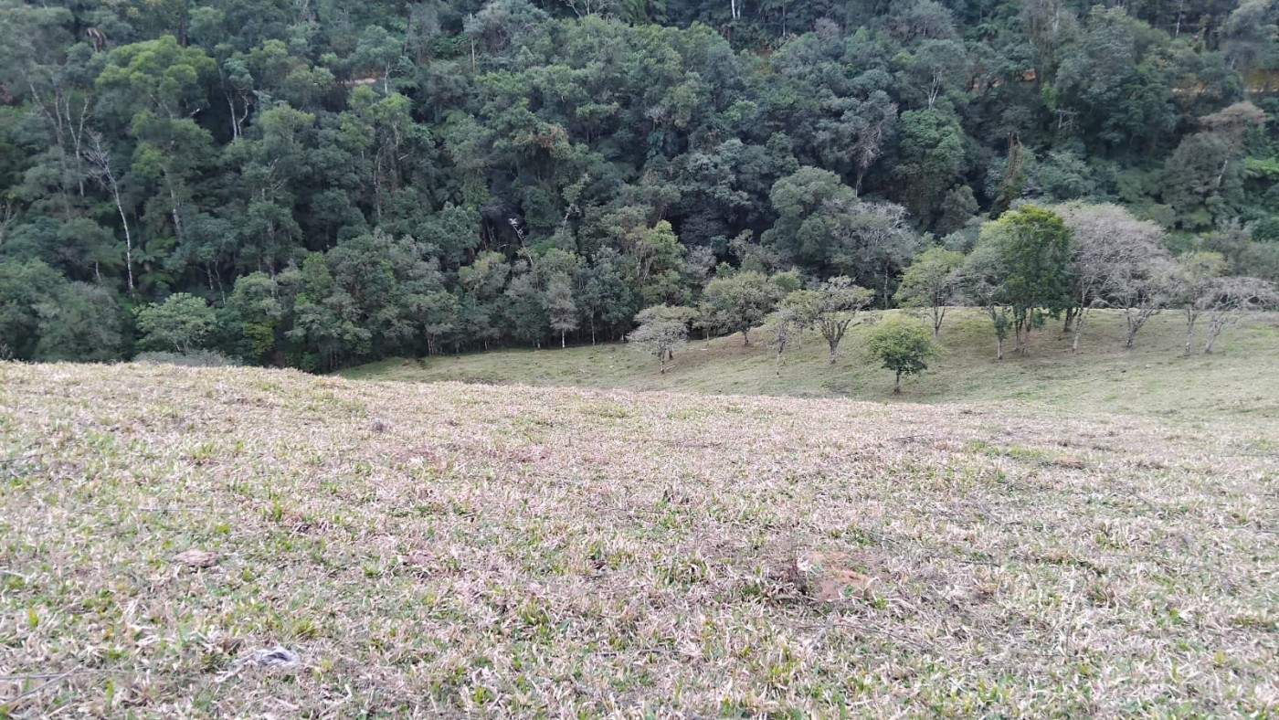 Fazenda, 7 m² - Foto 7