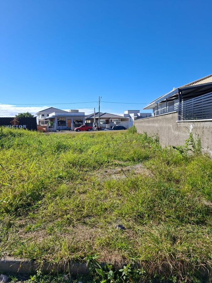 Terreno, 300 m² - Foto 3