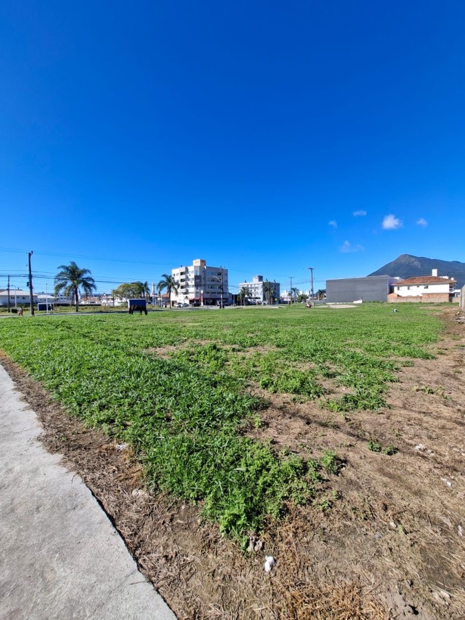 Terreno, 1634 m² - Foto 5