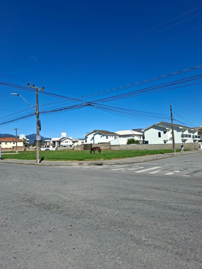 Terreno, 1634 m² - Foto 11