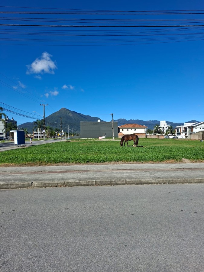 Terreno, 1634 m² - Foto 14