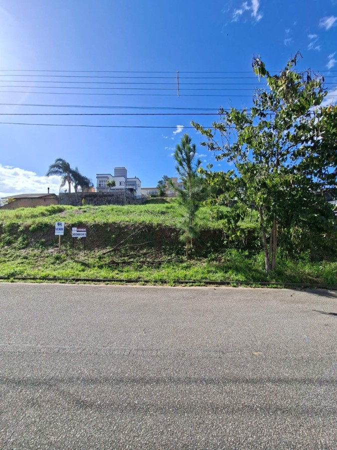 Terreno, 429 m² - Foto 6