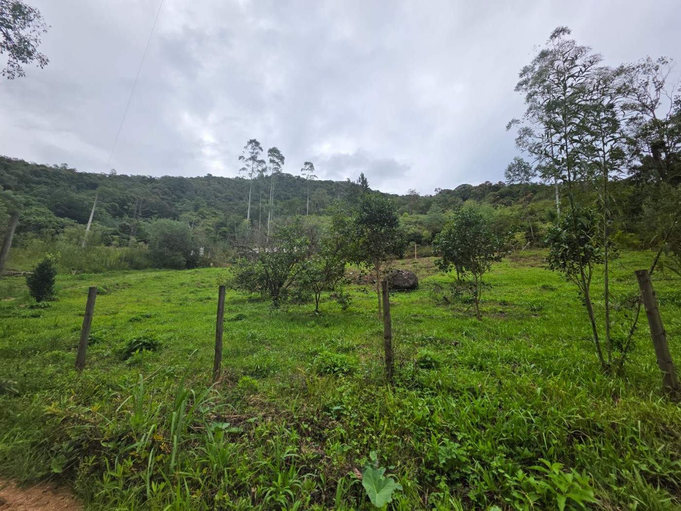 Fazenda, 2500 m² - Foto 4