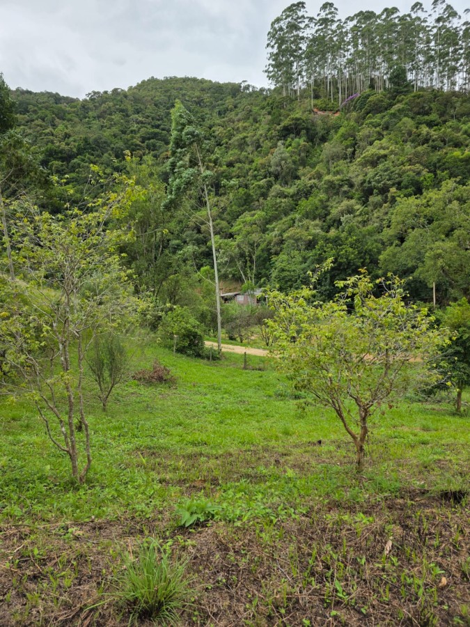 Fazenda, 2500 m² - Foto 3