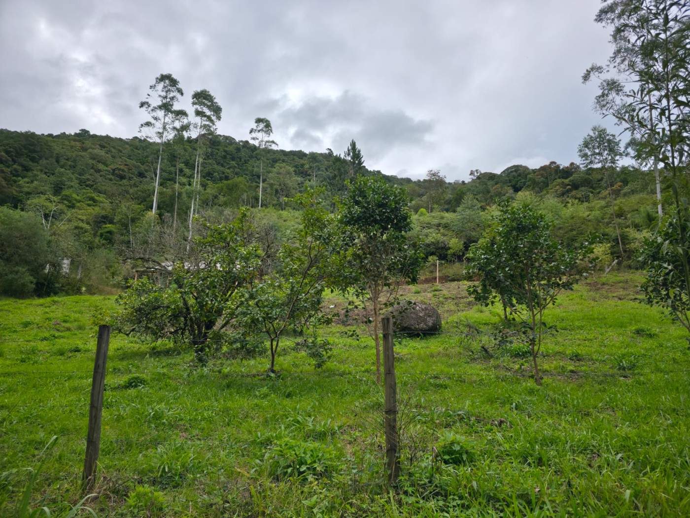 Fazenda, 2500 m² - Foto 5