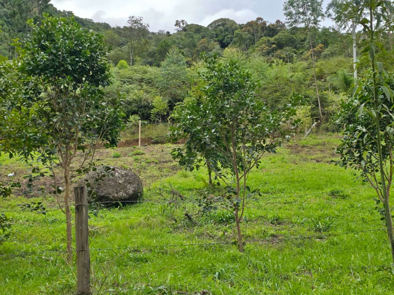 Fazenda, 2500 m² - Foto 6