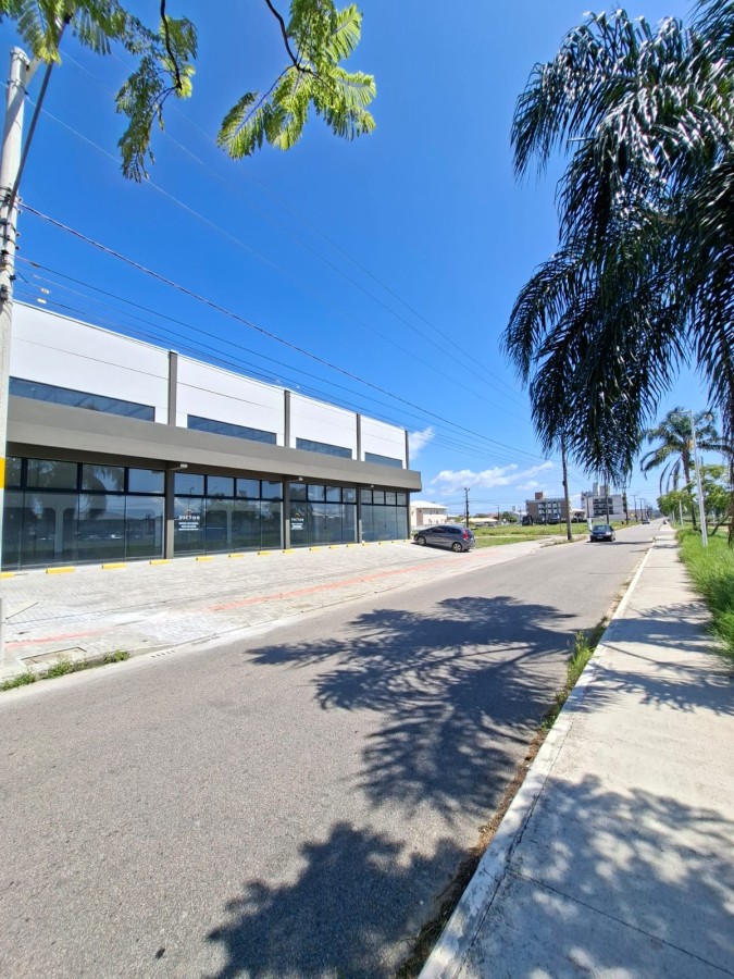 Depósito-Galpão, 300 m² - Foto 2