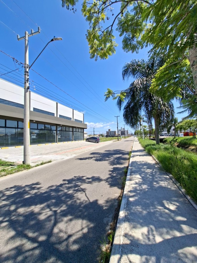 Depósito-Galpão, 300 m² - Foto 6